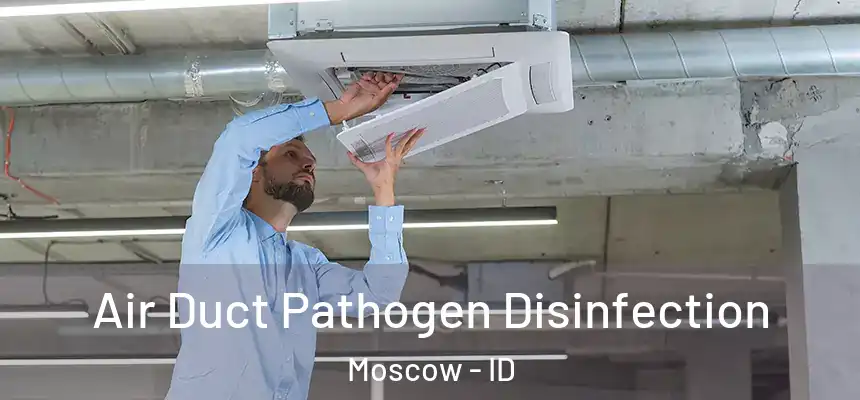  Air Duct Pathogen Disinfection Moscow - ID