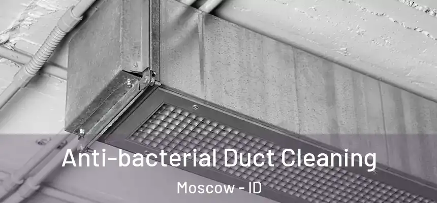  Anti-bacterial Duct Cleaning Moscow - ID
