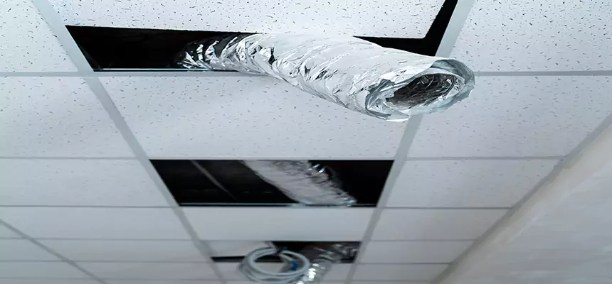 Our Air Duct Pet Hair Removal Services in Moscow, ID