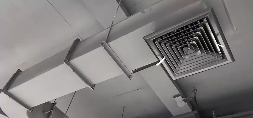 Restorative Allergy Relief Vent Cleaning – Coil, Blower & Housing Detail in Moscow