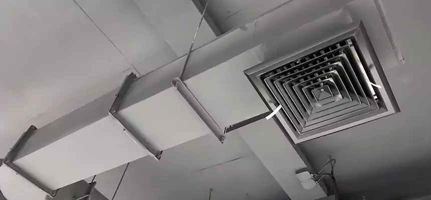 Our Pest Removal From Ducts Services in Moscow, ID