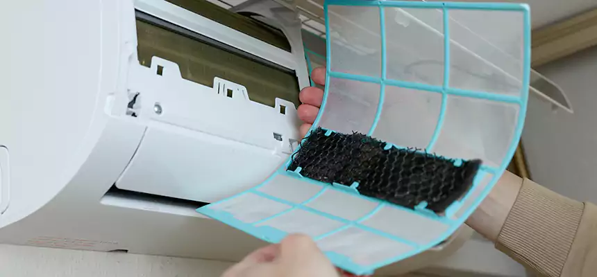 Gentle Ductwork Odor-Control Pet Dander Duct Cleaning in Moscow, ID