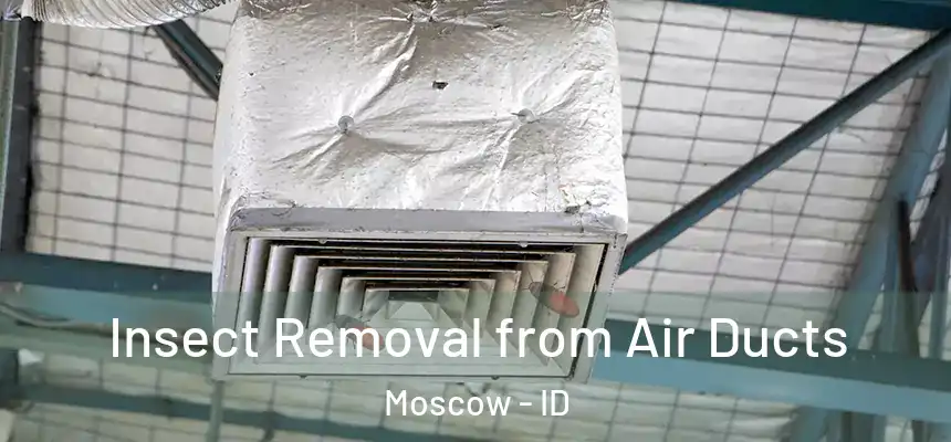  Insect Removal from Air Ducts Moscow - ID