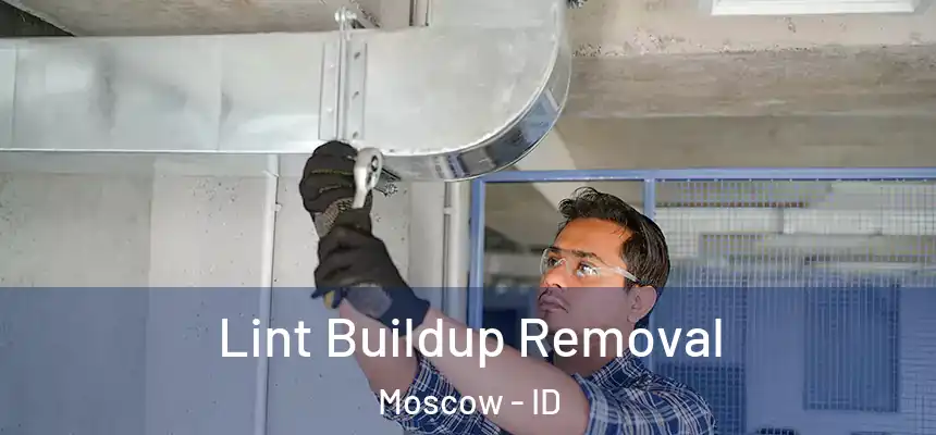  Lint Buildup Removal Moscow - ID