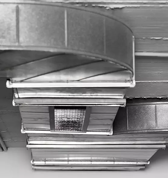 Professional Air Duct Pest Removal in Moscow, ID