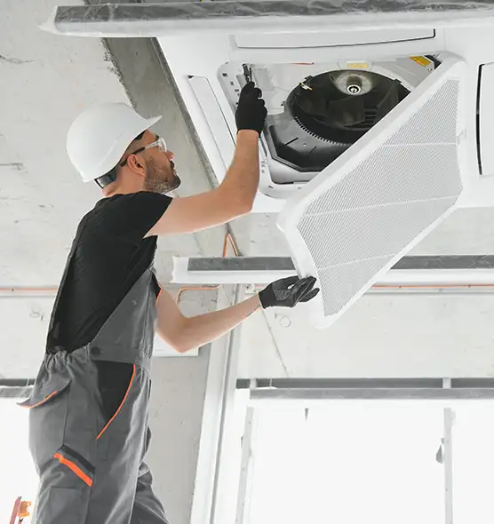 About Air Duct Rodent Removal in Moscow, ID