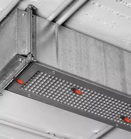 Affordable Insect Removal from Air Ducts in Moscow, ID